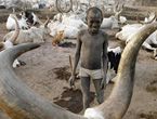 Reutersdan 2011 fotoğrafları