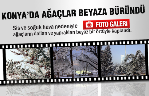 Konyada ağaçlar beyaza büründü