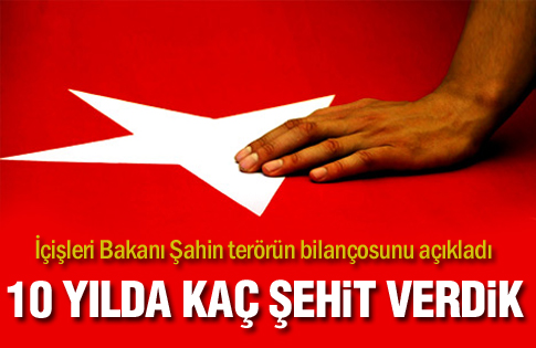 10 yılda ne kadar şehit verildi 