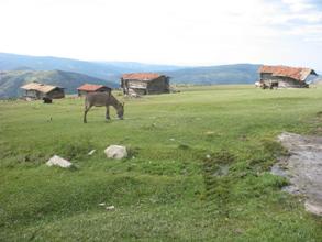 Orda bir köy var uzakta