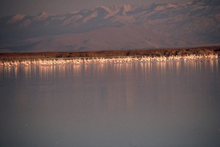 000001-copy.jpg 000001-copy.jpg