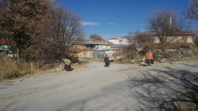 10-017.jpg 10-017.jpg