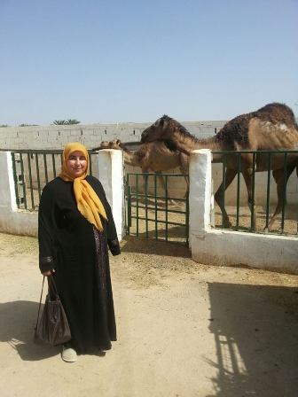 13101543_179414565787832_1719971261_n.jpg 13101543_179414565787832_1719971261_n.jpg