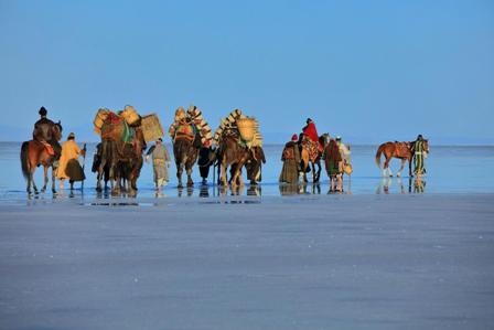 13173406_10154145165777836_3233005335670391086_o.jpg 13173406_10154145165777836_3233005335670391086_o.jpg