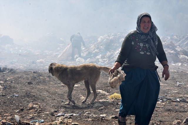 15-yildir-sokak-hayvanlarina--(3).jpg