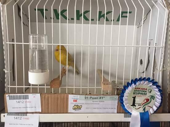15045607_1259341580791020_304400487_n.jpg 15045607_1259341580791020_304400487_n.jpg