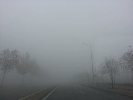 1511077_333396296845035_4720301967733049084_n.jpg