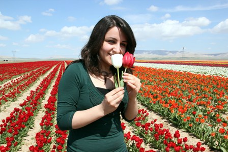 170951412051691e92240d4685971446.jpg 170951412051691e92240d4685971446.jpg