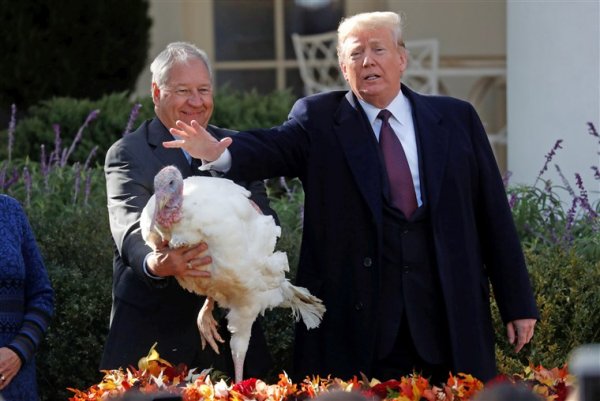 181120-trump-turkey-pardon-mn-1340_f0584e67263858b3598fdf958cc7cddb_fit-760w.jpg
