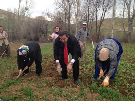 1900124_236025216584827_318174155_n.jpg 1900124_236025216584827_318174155_n.jpg