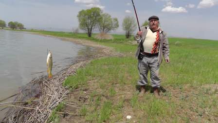 20120506a0605026_01.jpg 20120506a0605026_01.jpg