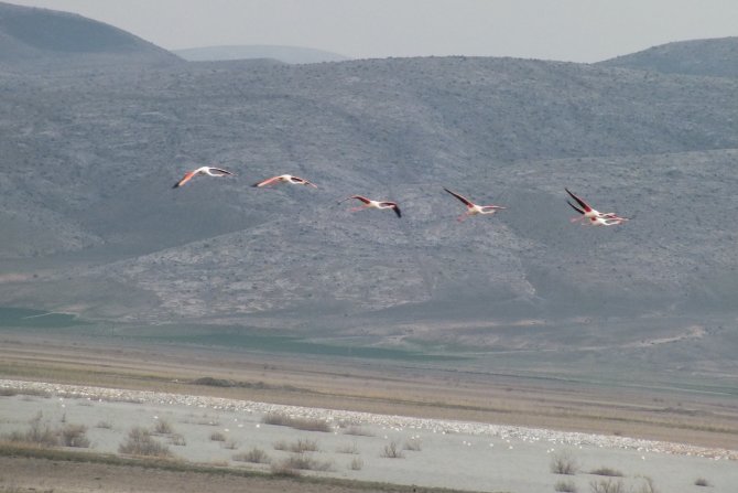Doğaseverler Akgöl İçin Buluştu