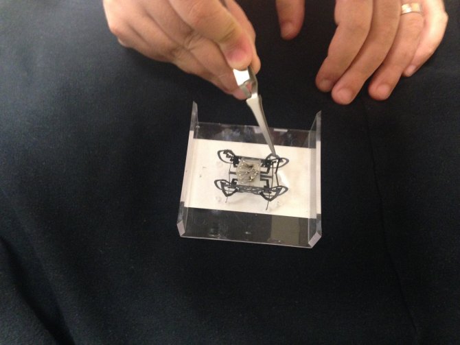 "Hamam Böceği" Robotlar Geliyor