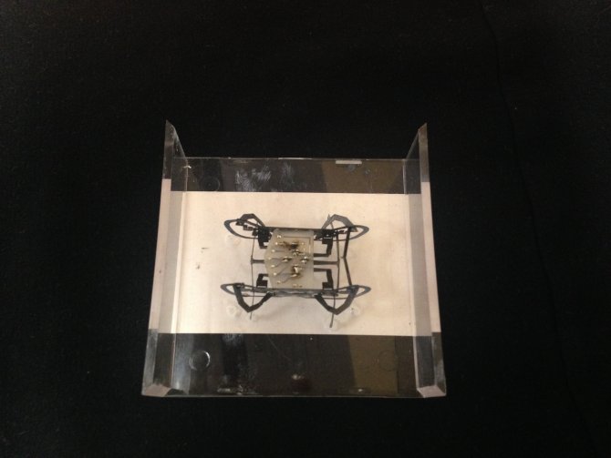 "Hamam Böceği" Robotlar Geliyor