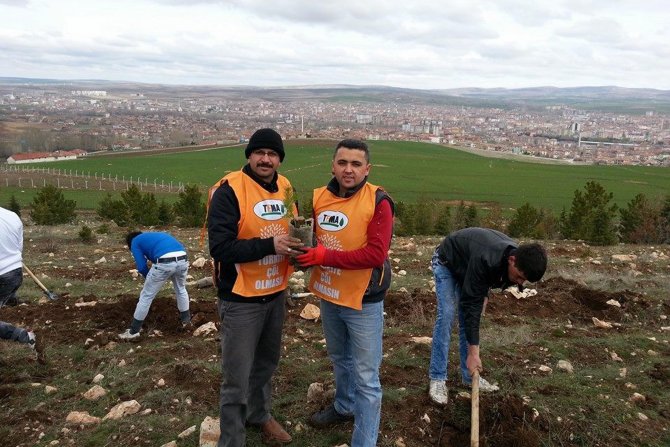 Sorgun’da 500 Fidan Dikildi
