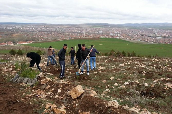 Sorgun’da 500 Fidan Dikildi