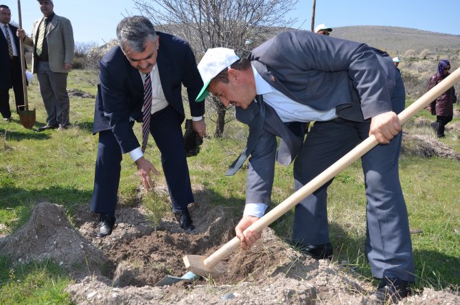 Ayaş'ta 3 Bin Fidan Toprakla Buluşturuldu