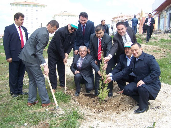 Beyşehir'de Ağaçlandırma Çalışmaları