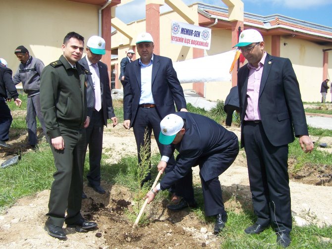 Beyşehir'de Ağaçlandırma Çalışmaları