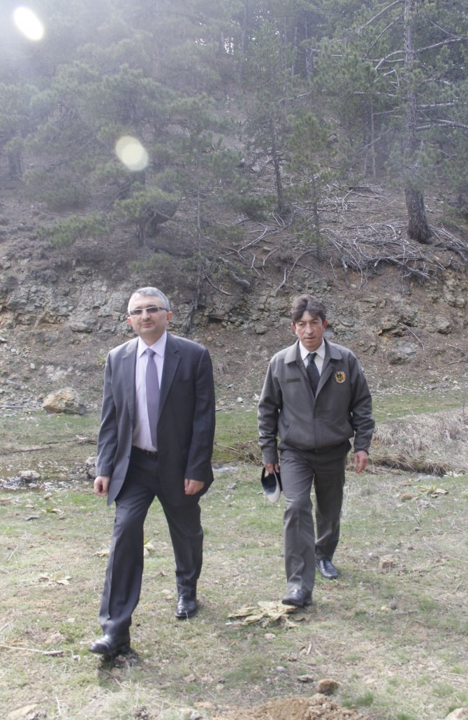 Beypazarı'nda Ormanlarda Kaçak Kesim Denetimi