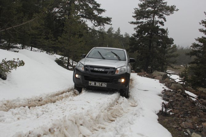 Beypazarı'nda Ormanlarda Kaçak Kesim Denetimi