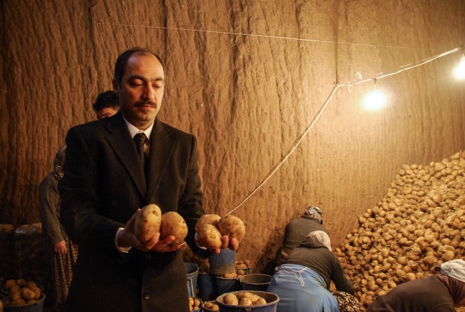 Patates Fiyatlarındaki Artış