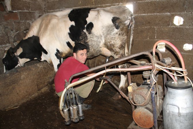 Sokak Sütü Market Sütüne Karşı