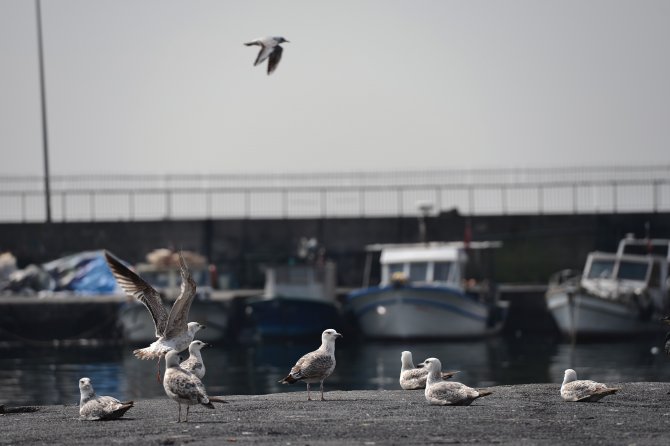 "Fiyatlar, Esnafa Balık Azlığını Hissettirmedi"