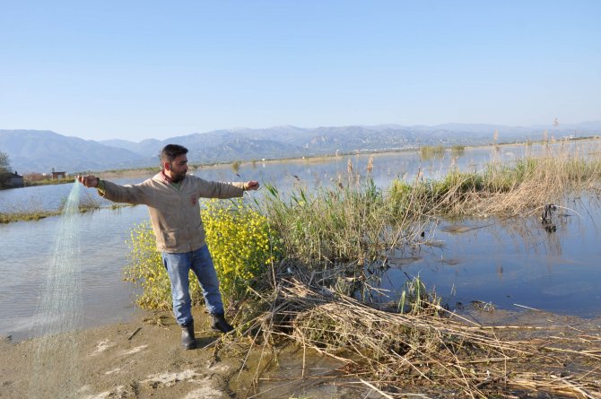 Büyük Menderes Nehri'ndeki Su Taşkını