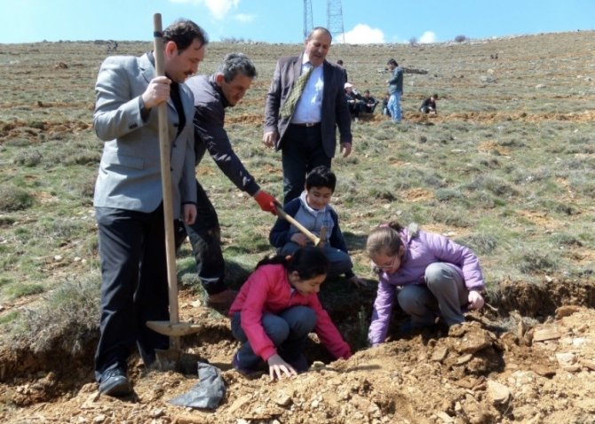 Hüyük'te Hatıra Ormanı Oluşturuldu