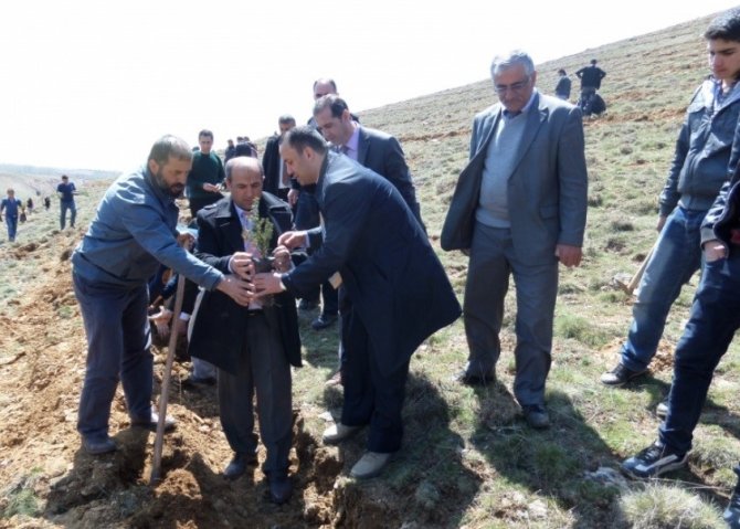 Hüyük'te Hatıra Ormanı Oluşturuldu