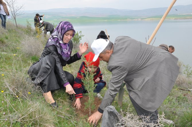 Kapulukaya Barajı'nda Ağaçlandırma Çalışmaları