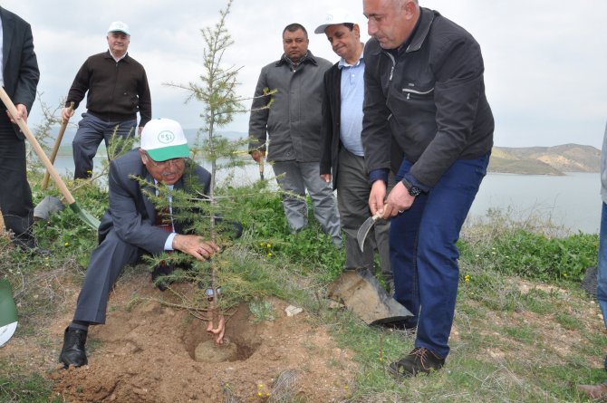 Kapulukaya Barajı'nda Ağaçlandırma Çalışmaları