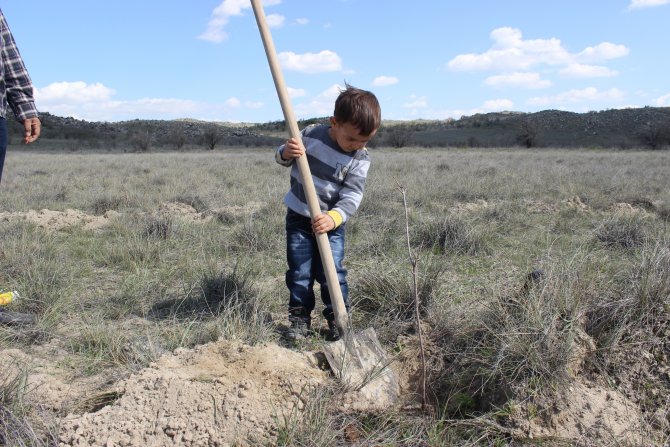 Karapınar'da Uçurtma Şenliği