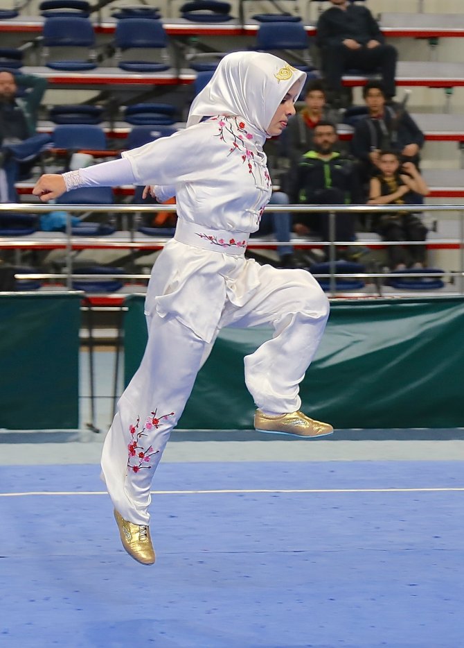Türkiye Wushu Taolu Büyükler Ve Gençler Şampiyonası