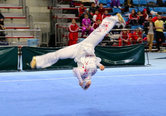 Türkiye Wushu Taolu Büyükler Ve Gençler Şampiyonası