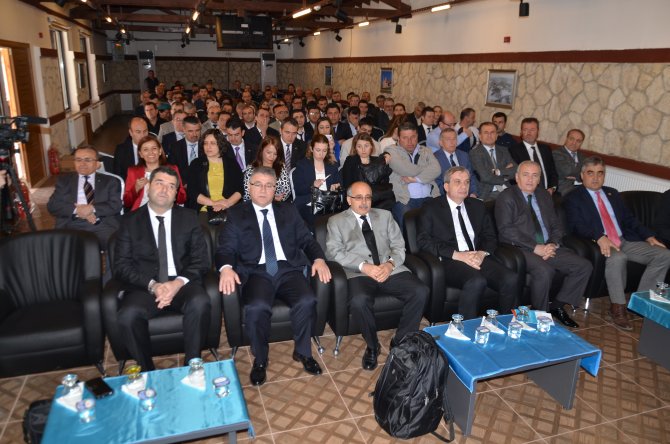 "Bor, Ayçiçeğinde Verimi Etkiliyor"