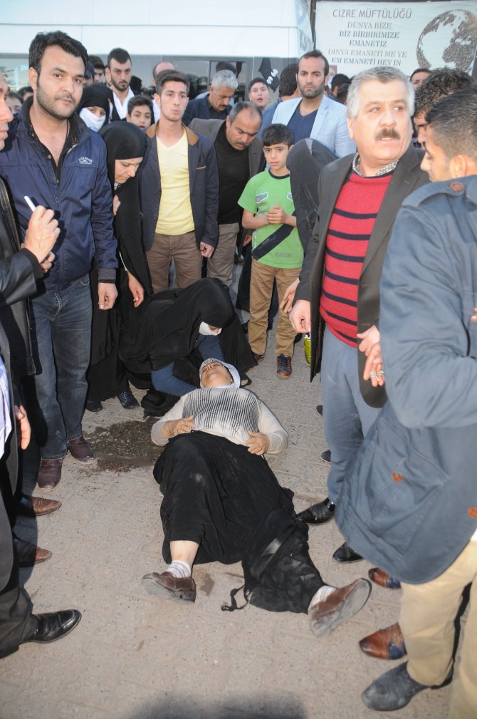 Cizre'de Trafik Kazası Sonrası Gerginlik