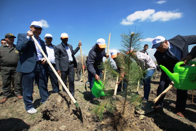 Çubuk'ta Kampüse Fidan Dikildi