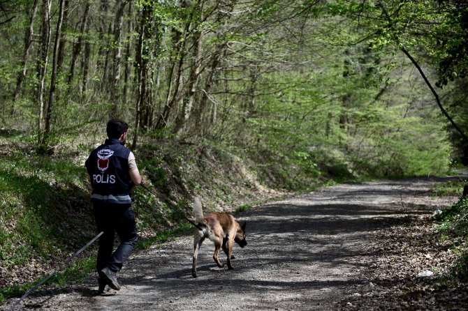 Kayıpları "Tim" Bulacak