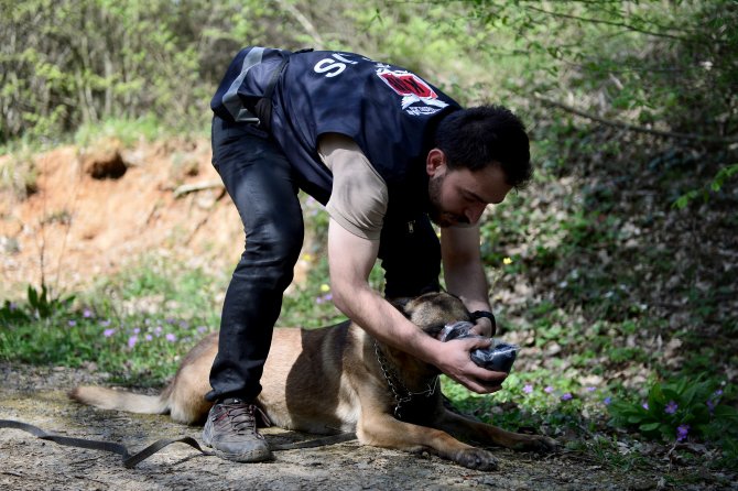 Kayıpları "Tim" Bulacak