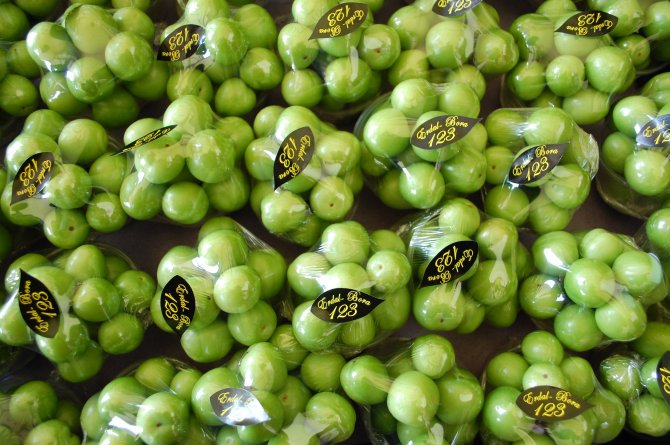 Mersin'de Eriğin Kilogramı 8 Liraya Kadar Düştü