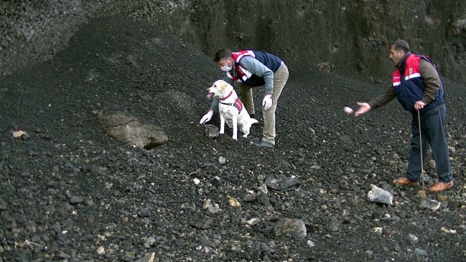 Van'da 3 Bin 940 Uyuşturucu Hap Ele Geçirildi