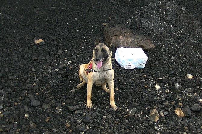 Van'da 3 Bin 940 Uyuşturucu Hap Ele Geçirildi