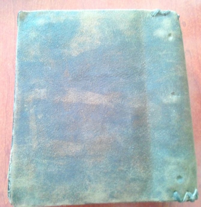 Yol Kontrolünde Bulunan İncil, Müzeye Teslim Edildi