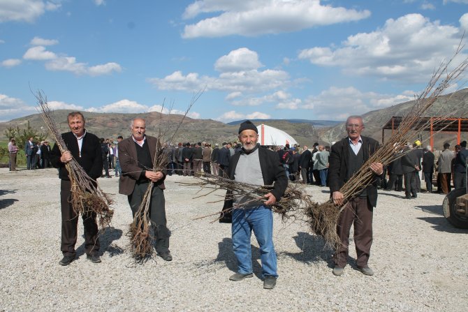 Doğanşar'da 10 Bin Fidan Dağıtıldı