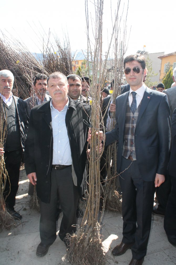Doğanşar'da 10 Bin Fidan Dağıtıldı
