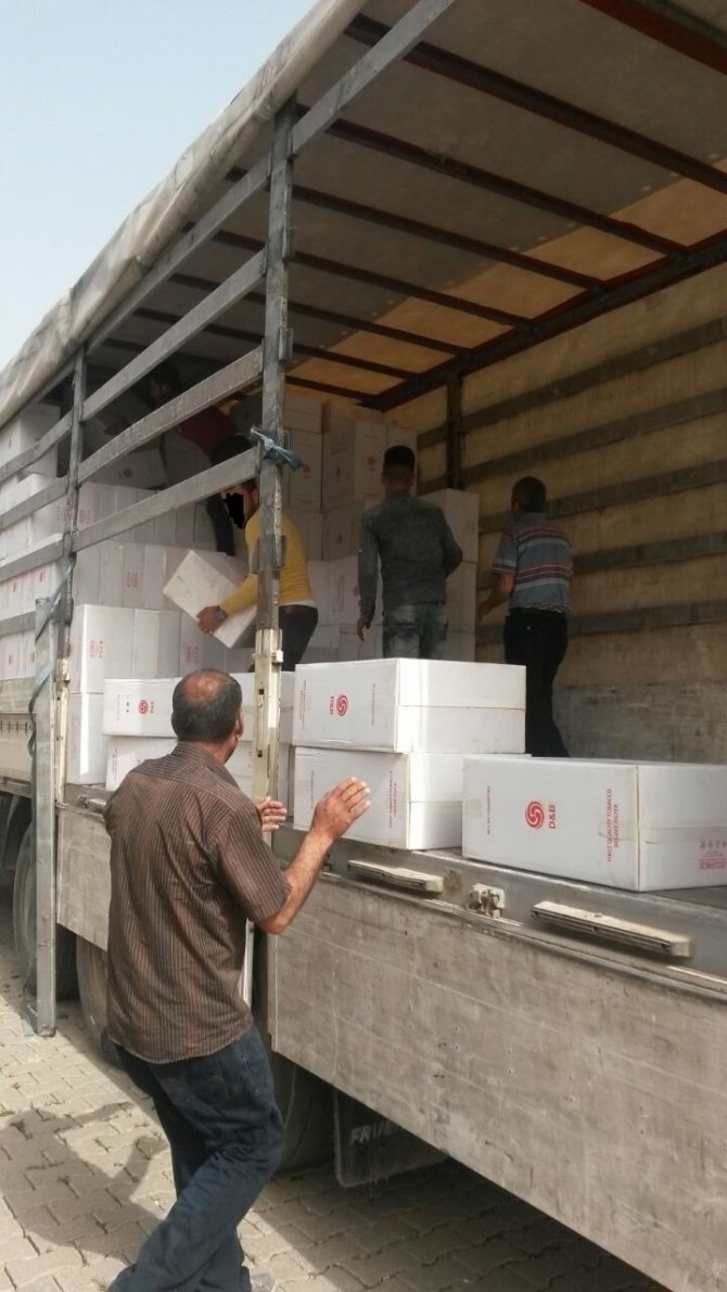 Şırnak'ta İki Milyon Paket Gümrük Kaçağı Sigara Ele Geçirildi
