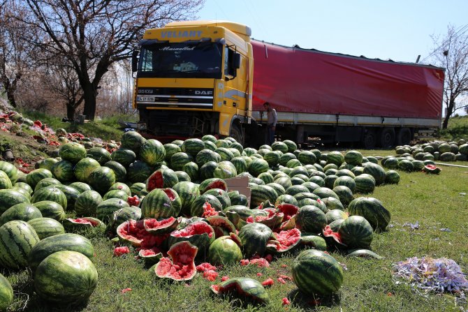Devrilen Tırdaki Tonlarca Karpuz Tarlaya Saçıldı