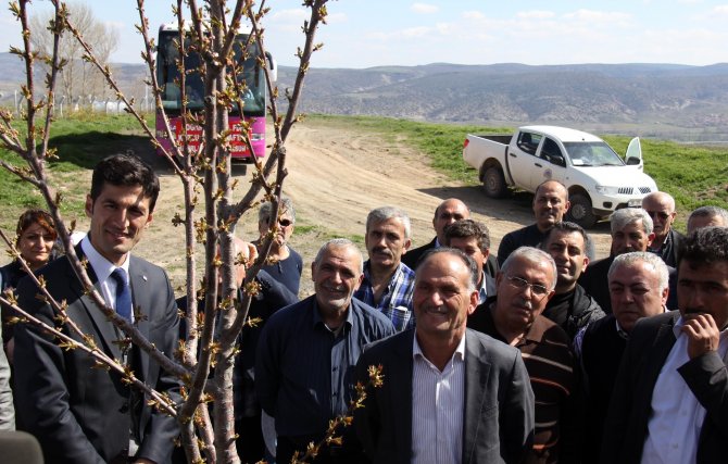 Doğanşar’da, "Meyveciliği Geliştirme Projesi"